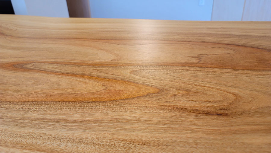 クスノキのアップ