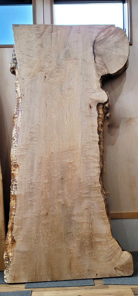 イタヤカエデ一枚板