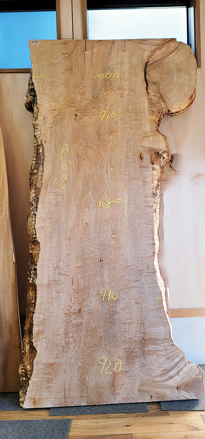 イタヤカエデ一枚板サイズ