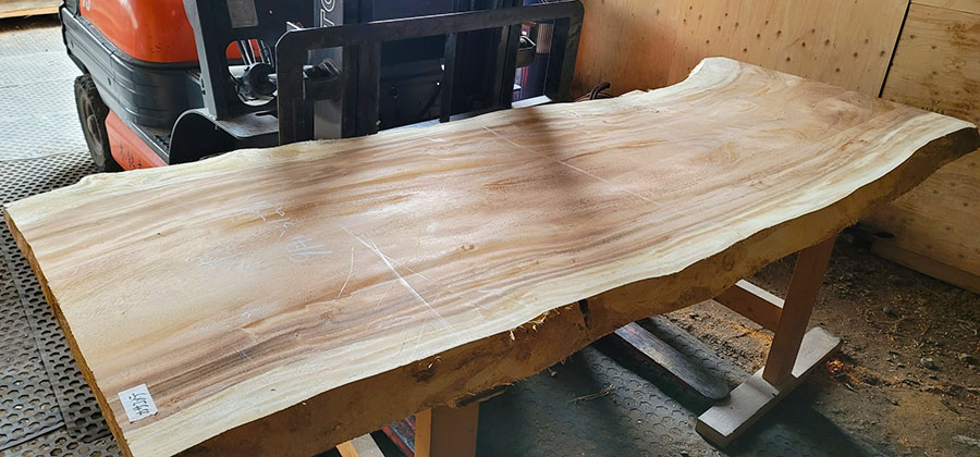 モンキーポット一枚板