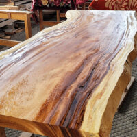 モンキーポット一枚板