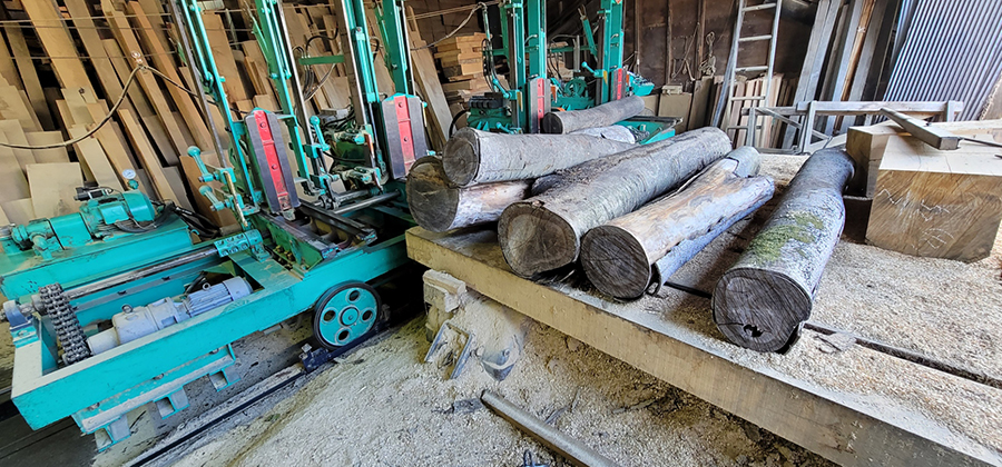 ケヤキ丸太の製材