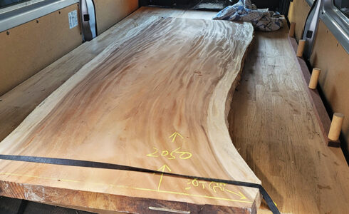 モンキーポット無垢一枚板