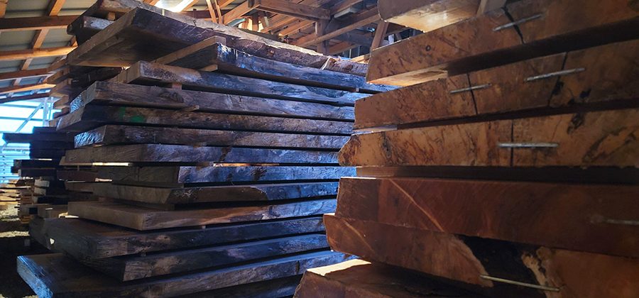 ブラックウォルナット無垢一枚板乾燥期間