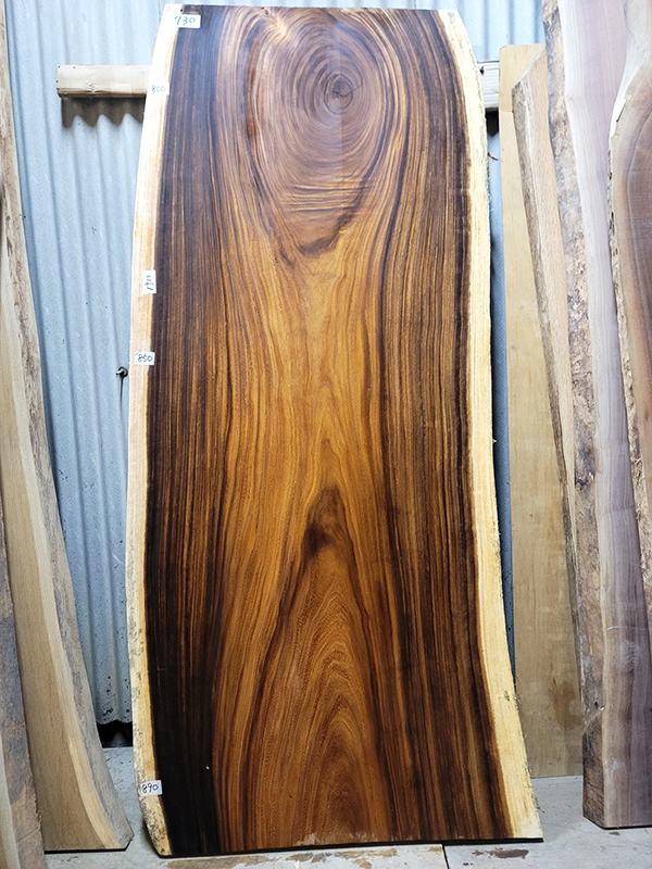 モンキーポット一枚板