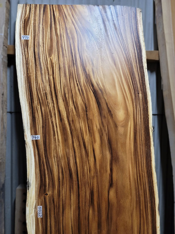 モンキーポット2.9m上