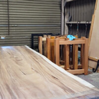 モンキーポット一枚板展示