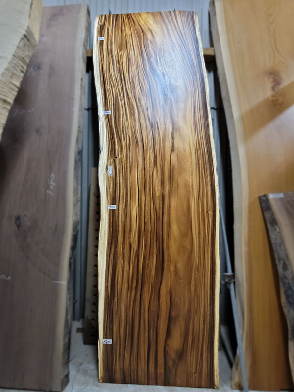 モンキーポット2.9m