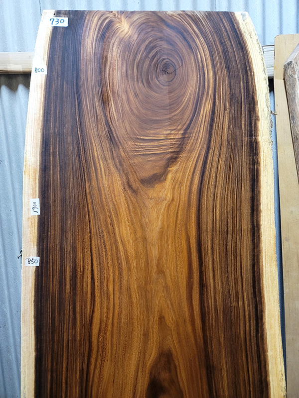 モンキーポット一枚板