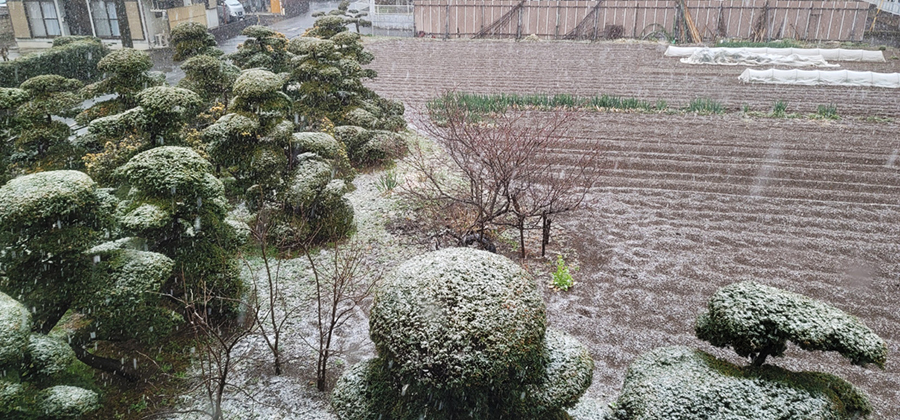 雪の春日部市