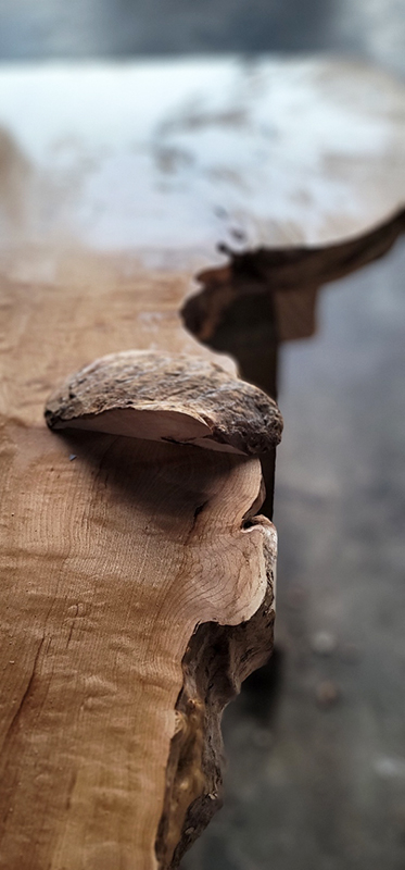 一枚板の出っ張りカット