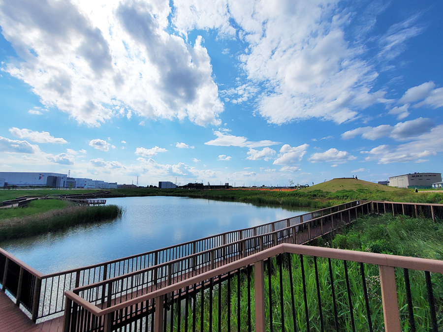 ゆめの森公園 春日部市