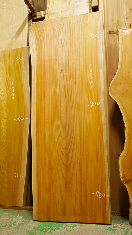 ケヤキ一枚板 展示品