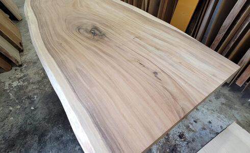 モンキーポット一枚板