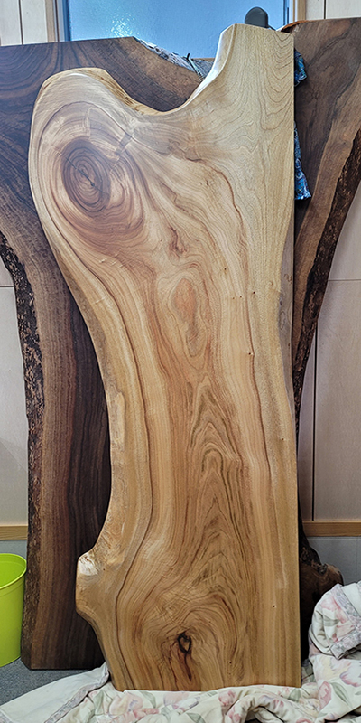 クスノキ一枚板カウンター