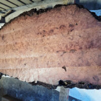 カリン無垢一枚板テーブル天板