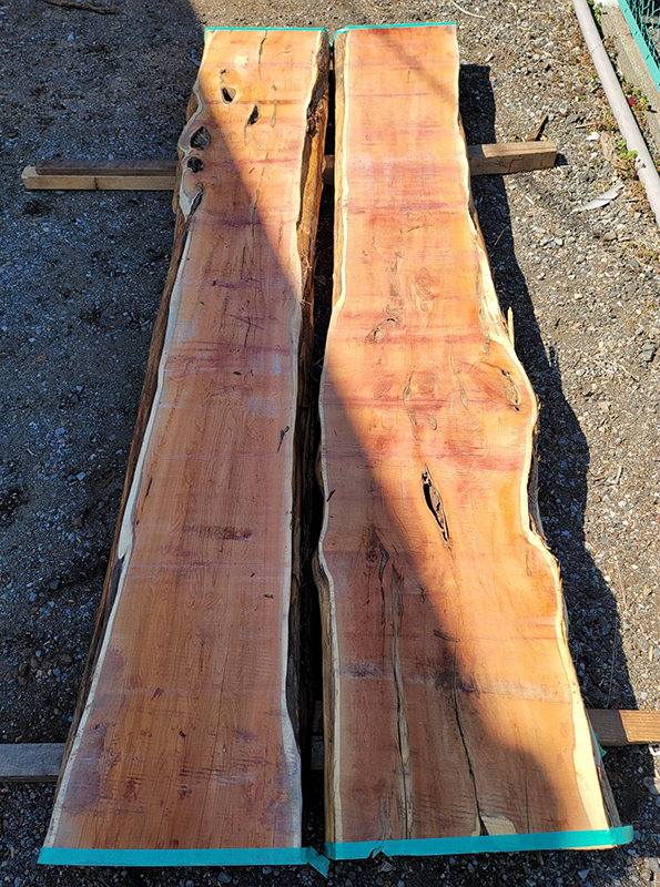 イチイ一枚板加工