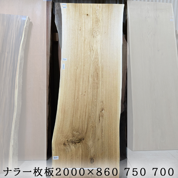 ナラ  立木で販売します。その１ ナラ(楢)一枚板｜2000×860-750-700mm｜ | 一枚板専門店 榎本銘木店