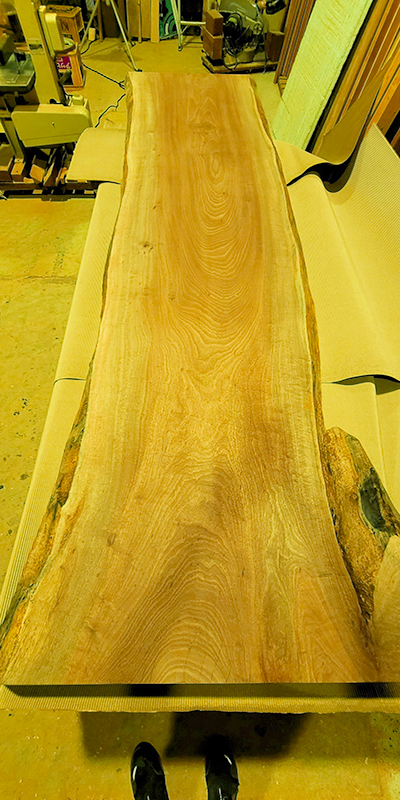 タブノキ無垢一枚板