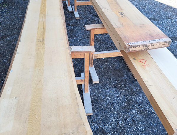 ヒノキ一枚板カウンター