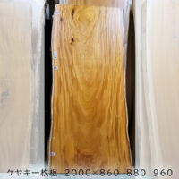 ケヤキ900幅表紙用