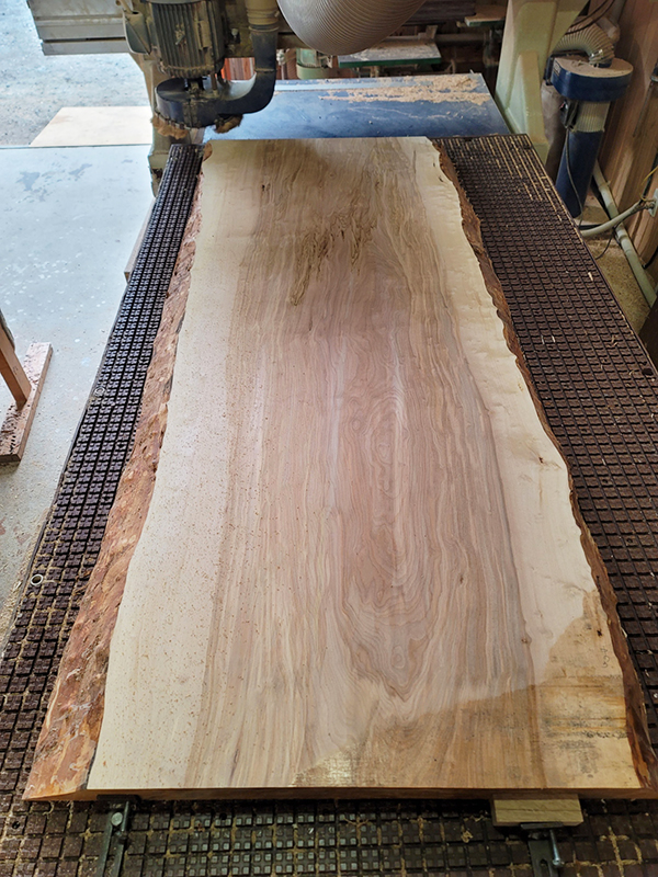 カバノキ一枚板