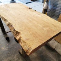 栃一枚板展示開始