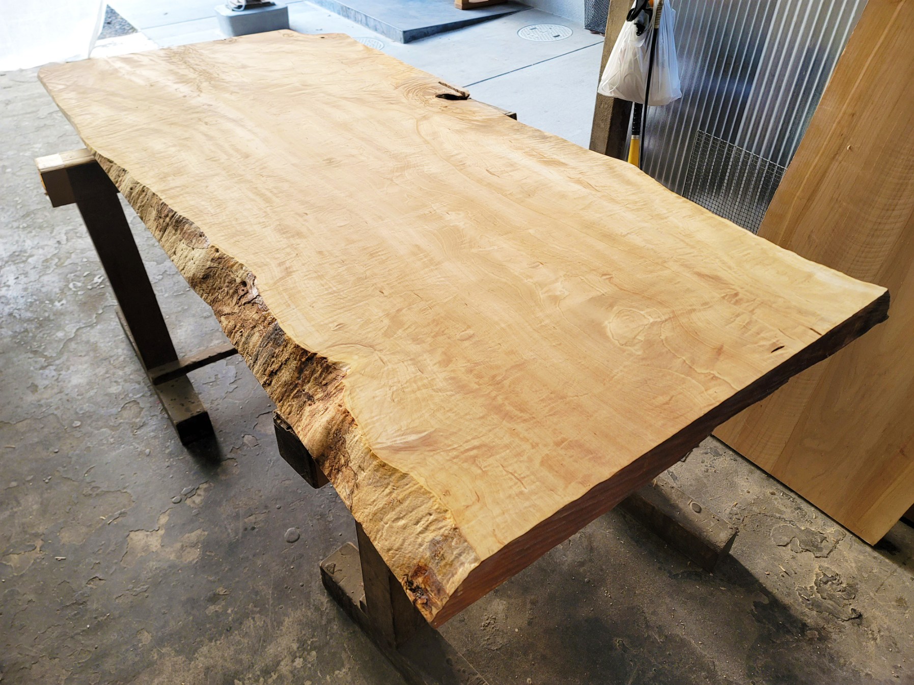 栃一枚板展示開始