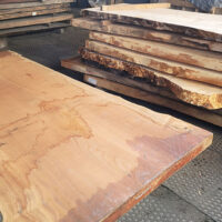 テーブル用一枚板の山