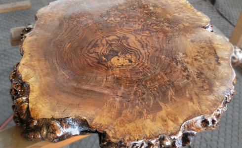 ブラックウォルナット瘤