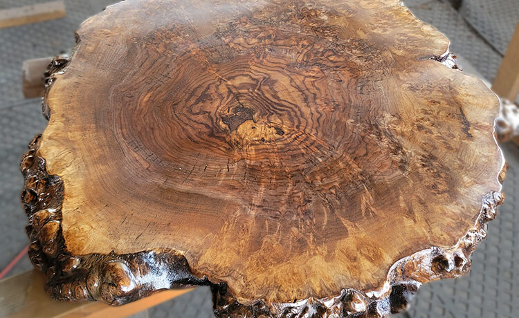 ブラックウォルナット瘤