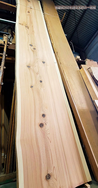 カウンター用一枚板