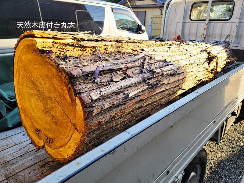 皮付き丸太