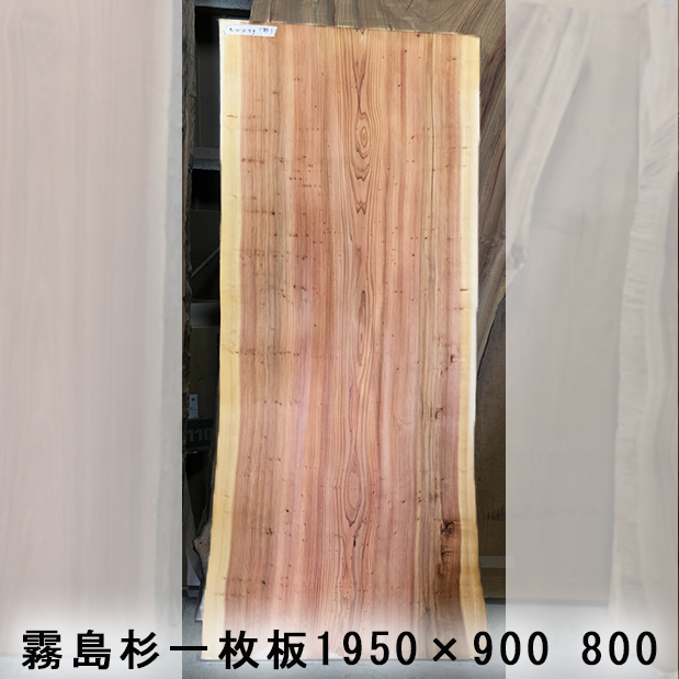霧島杉一枚板1950-800-900 | 一枚板工房 榎本銘木店