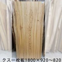 クスノキトップ