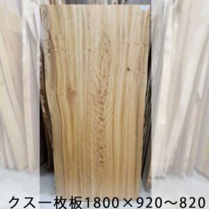 クスノキトップ