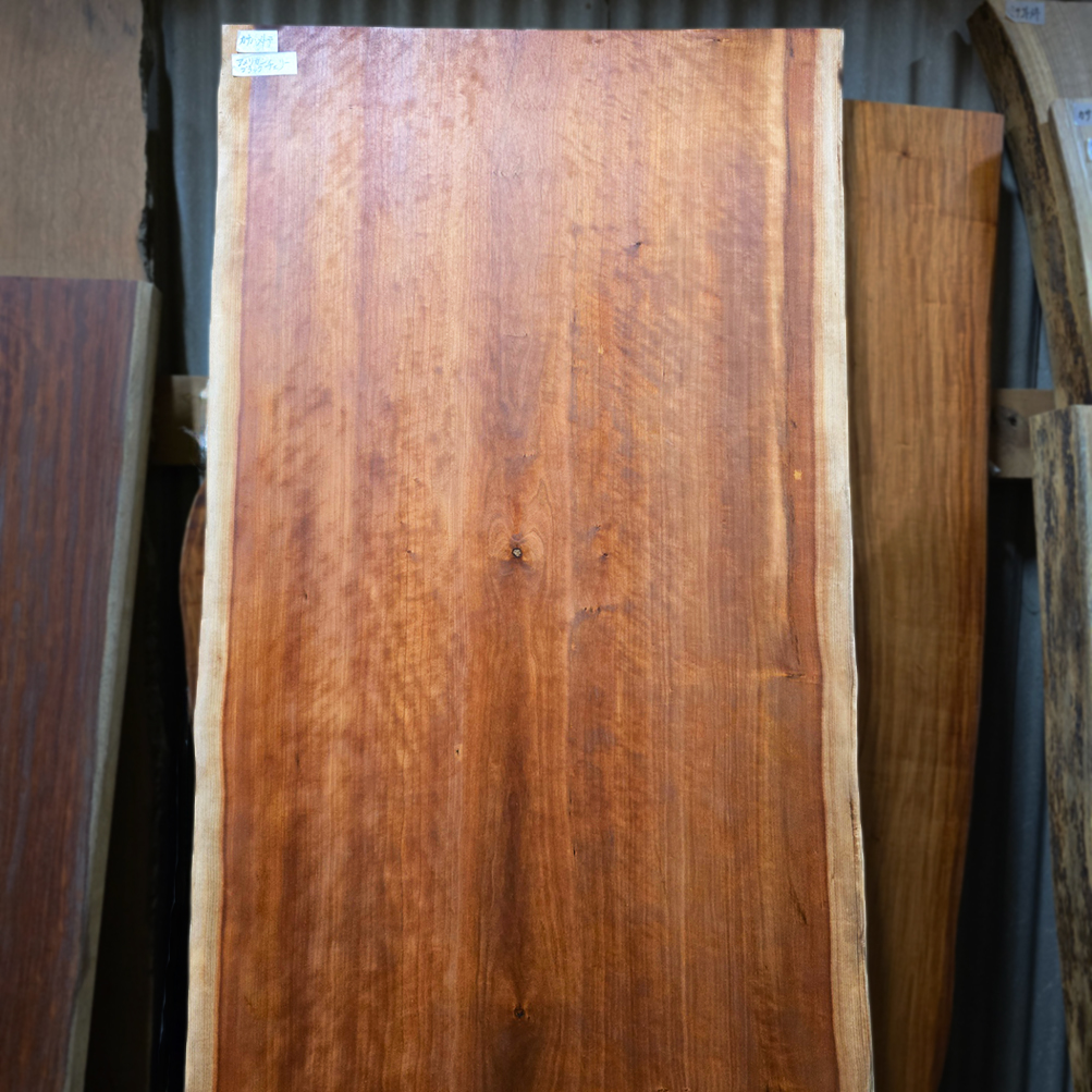 アメリカンチェリー上部