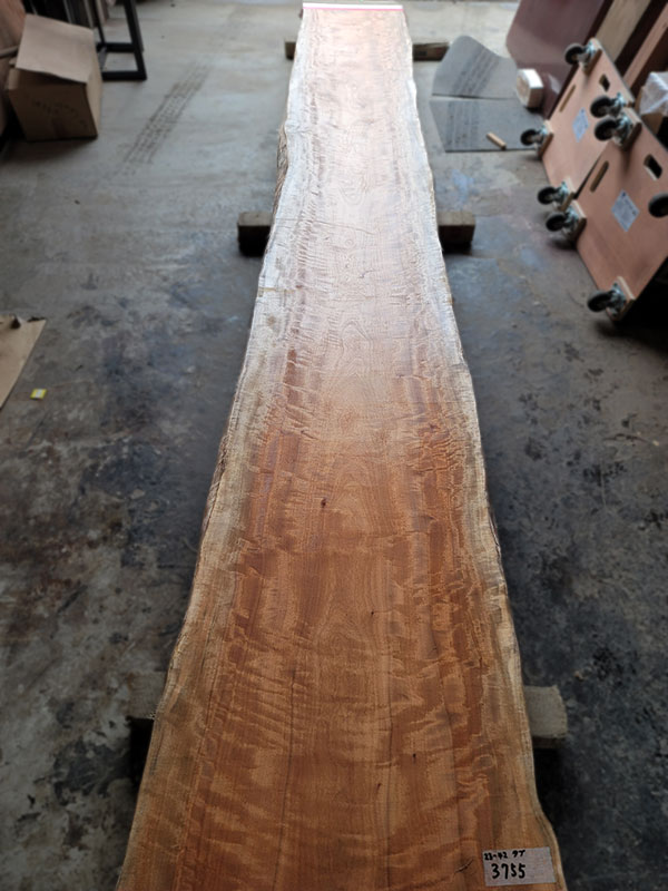 椨一枚板カウンター