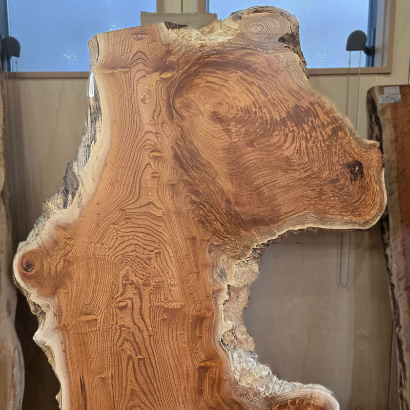 ケヤキ一枚板上部