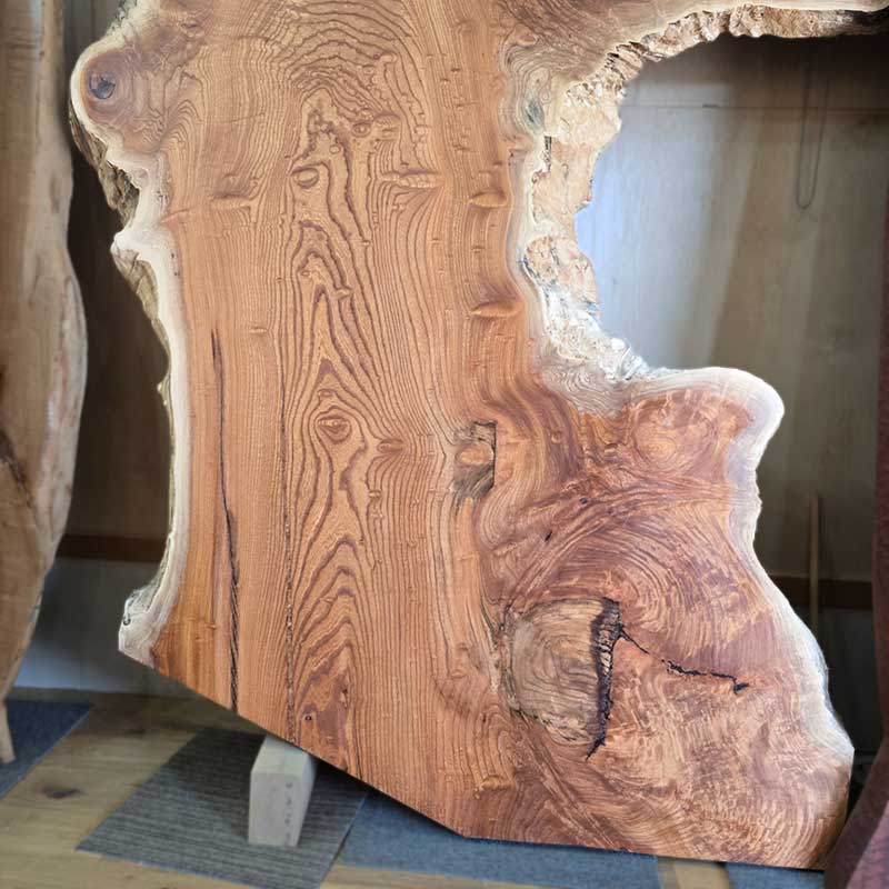 ケヤキ一枚板下部