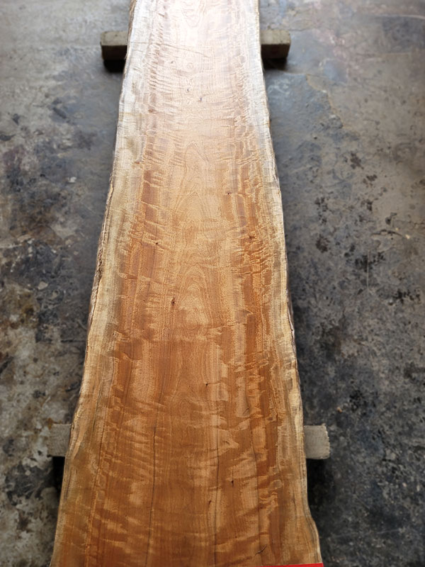 椨カウンター下部