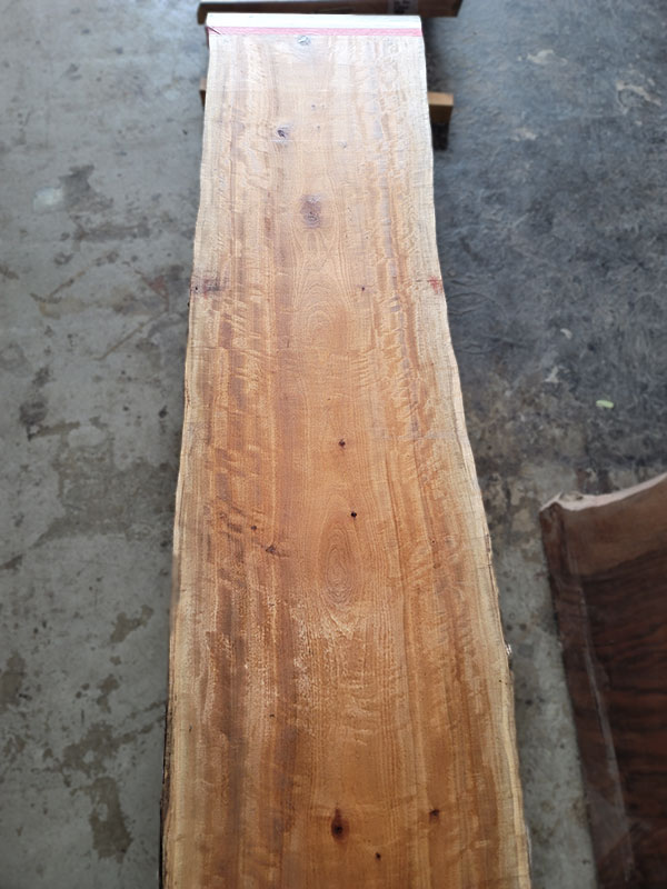 椨一枚板カウンター材