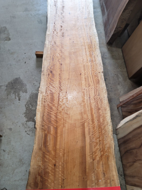 椨一枚板カウンター