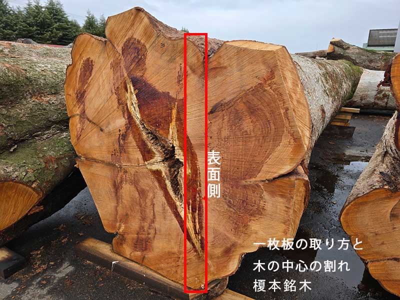 木の中心の割れ