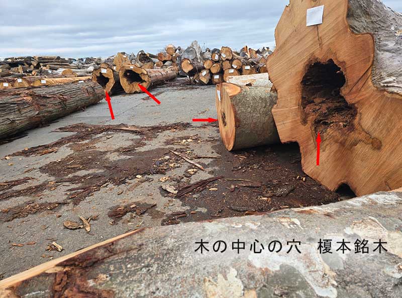 木の中心の穴